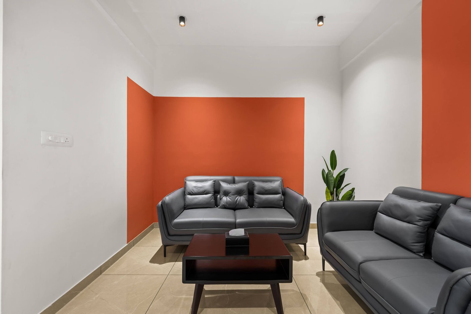 Yolo Studio 7